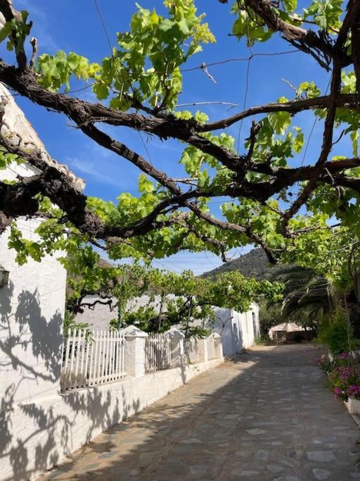 Vila Real Fundicion De Alcora Canjáyar Exteriér fotografie