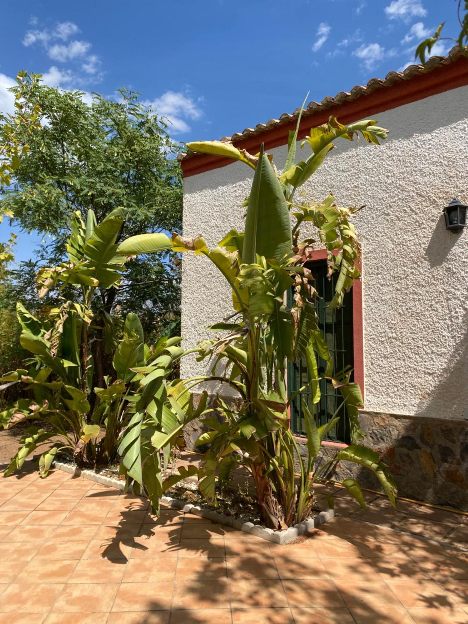Vila Real Fundicion De Alcora Canjáyar Exteriér fotografie