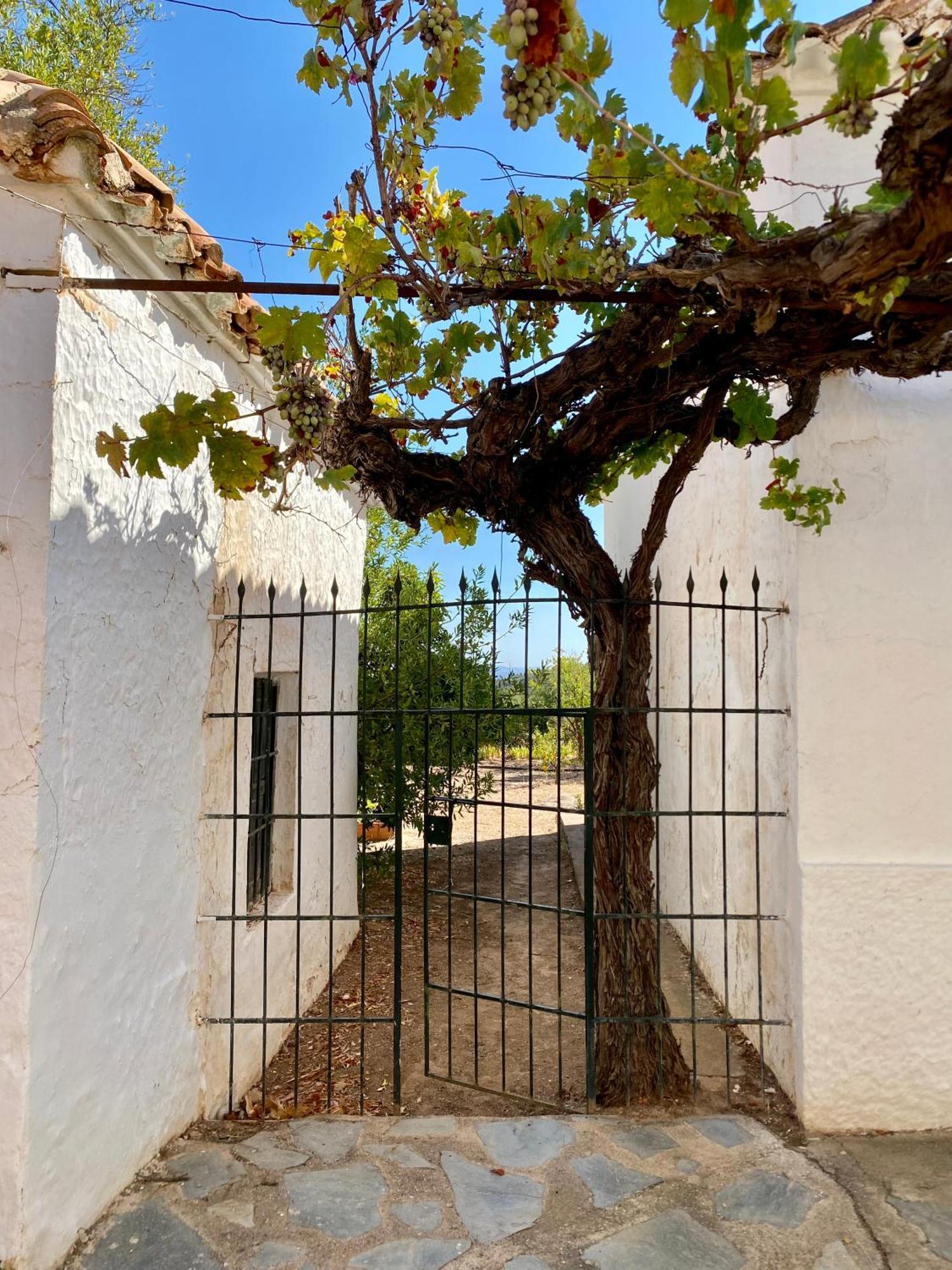 Vila Real Fundicion De Alcora Canjáyar Exteriér fotografie